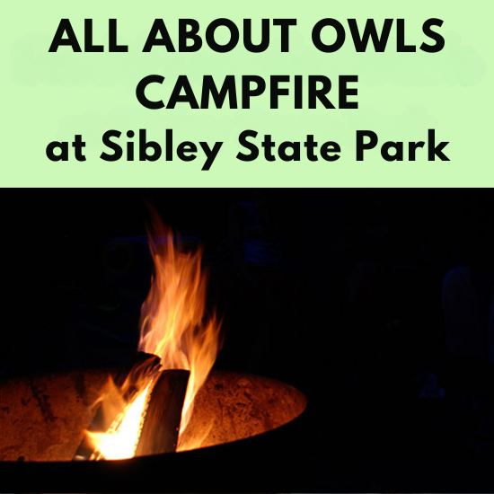 a campfire