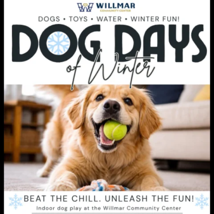 a dog with a tennis ball in his mouth and a rope toy on the floor