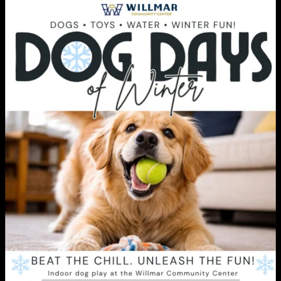 a dog with a tennis ball in his mouth and a rope toy on the floor
